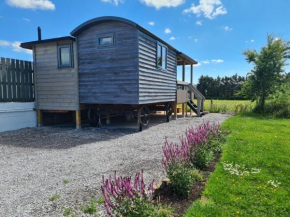 Thornhills Lodge